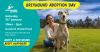 Adopt A Greyhound Gosford Waterfront  Jan 31  