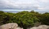 bouddi national park lookout