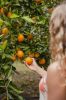 woman picking fruit