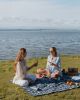 family picnic to beach