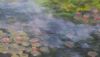 Painted image of water with green and blue lillies
