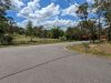 Ourimbah State Forest 1