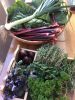 Produce share goodies