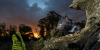 Tasmanian devils at night credit_aussieark