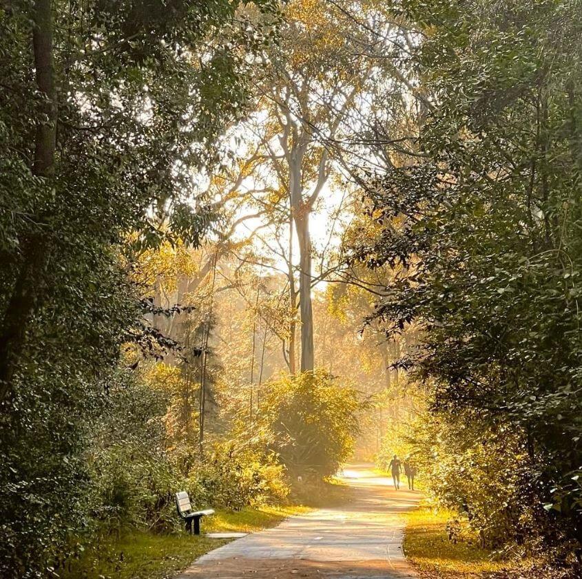 Image of Kincumber walking path: @terri_d_photography via Instagram