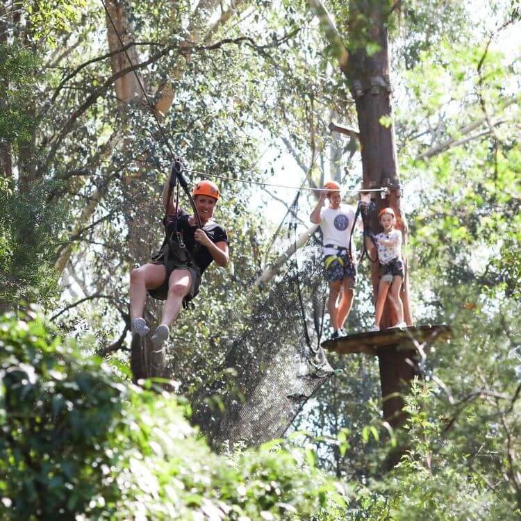 treetops adventure park