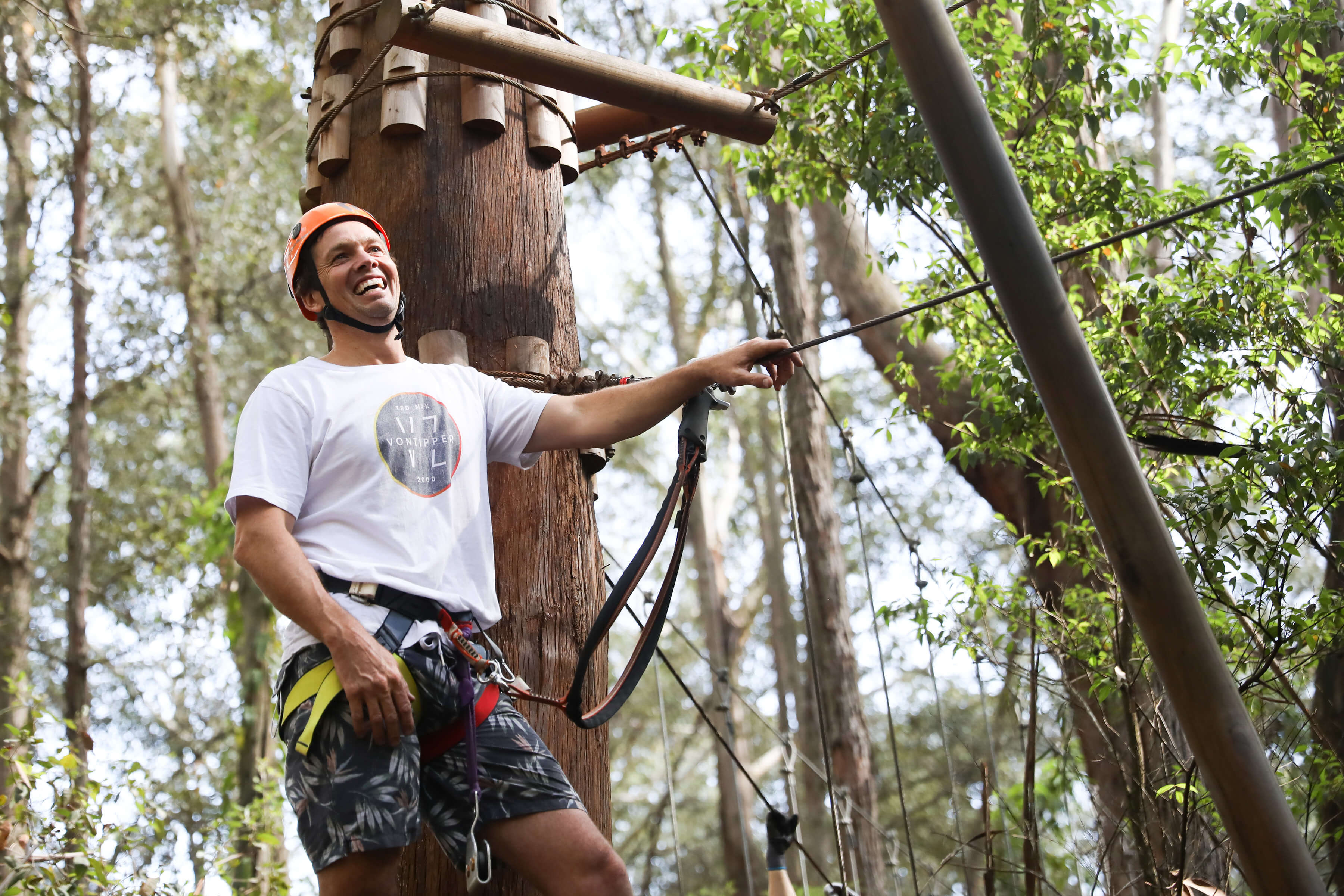 Treetops, Ourimbah State Forest