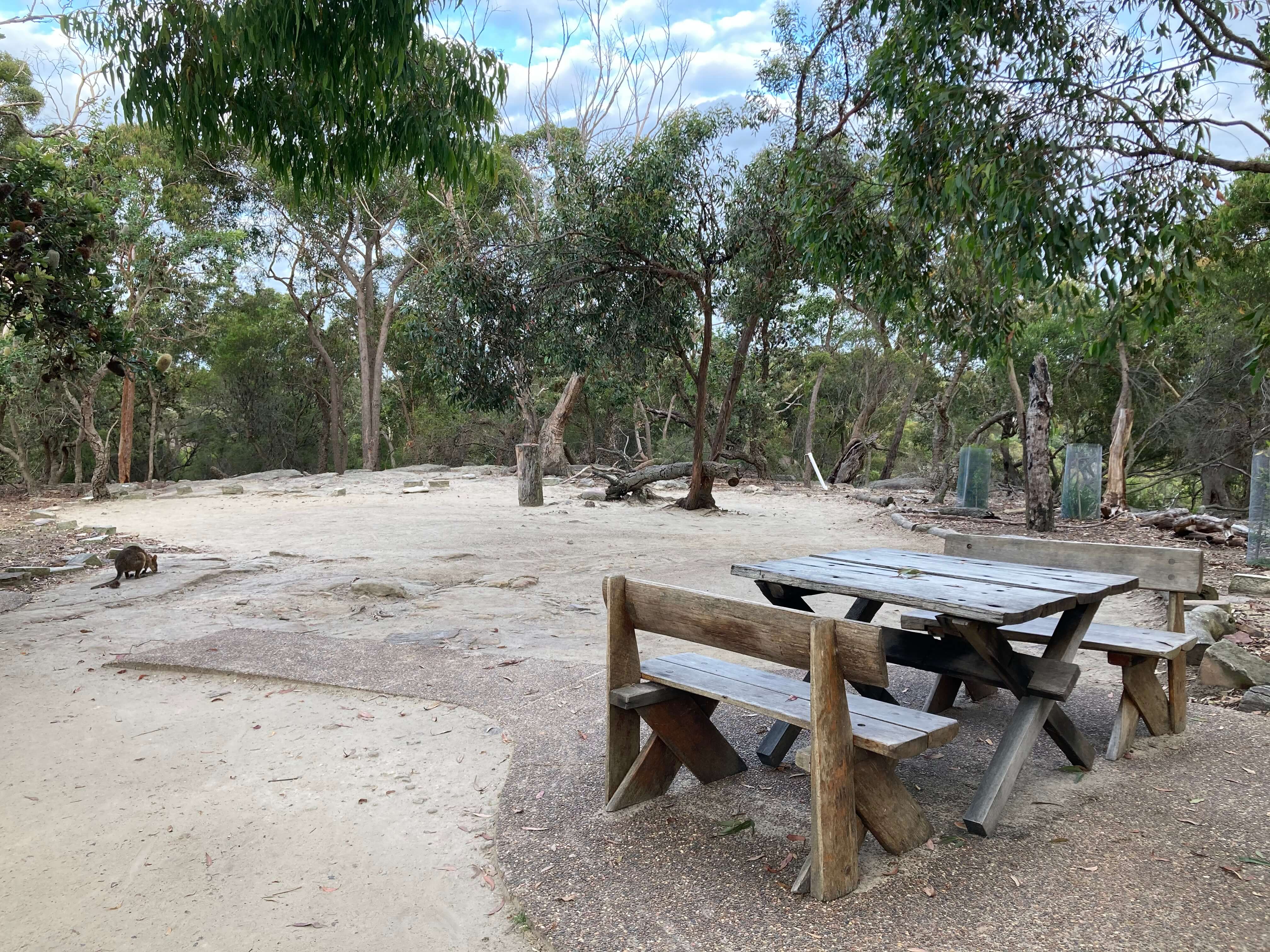 walkabout park kangaroo picnic